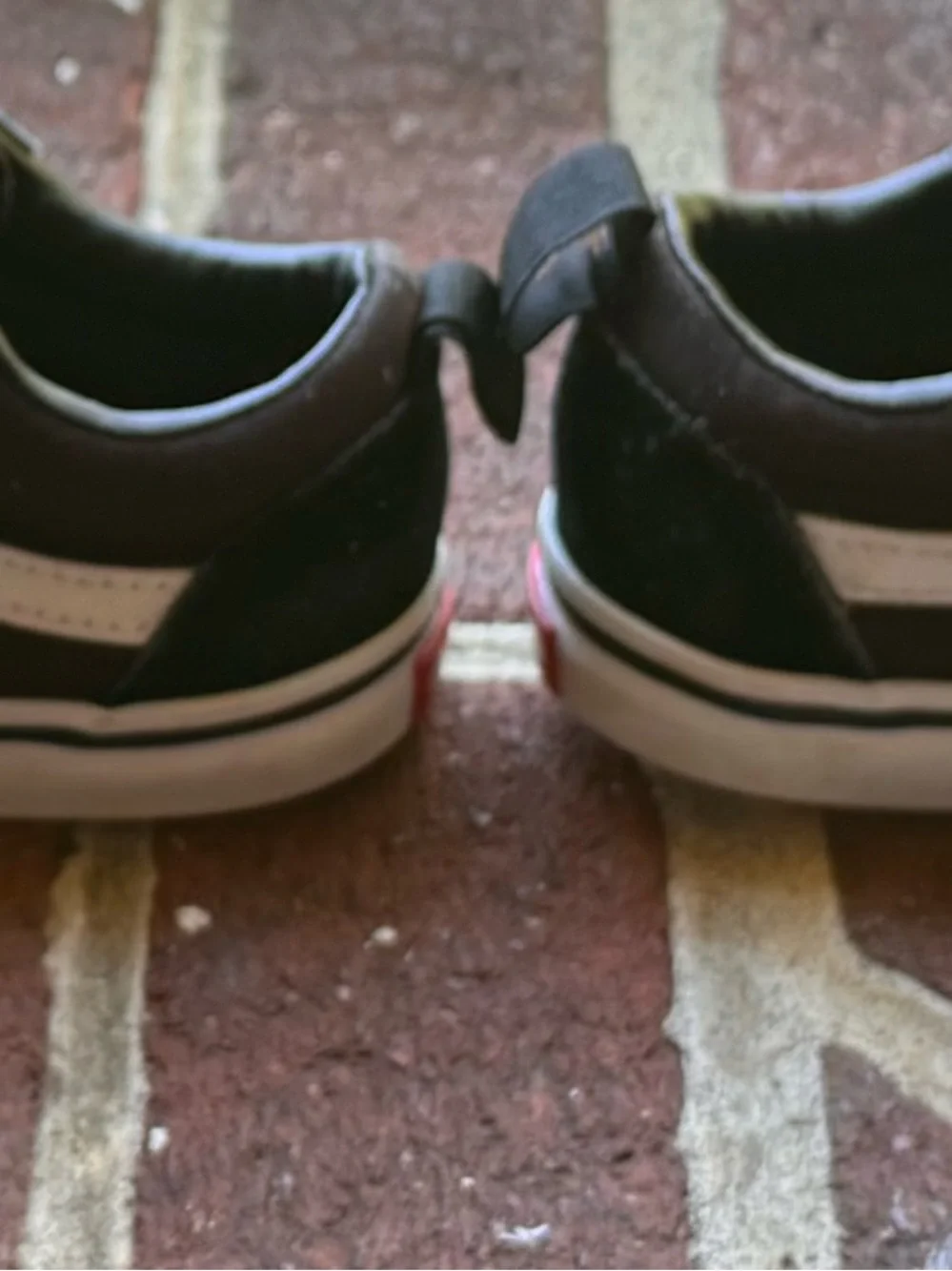 Vans kids velcro
